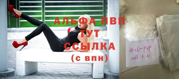 тгк Горнозаводск