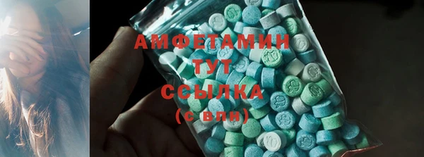 трава Гусиноозёрск