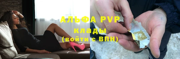 ГАЛЛЮЦИНОГЕННЫЕ ГРИБЫ Горно-Алтайск
