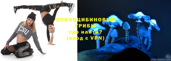 трава Гусиноозёрск