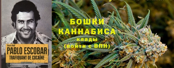 трава Гусиноозёрск