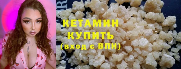 трава Гусиноозёрск