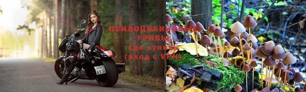 таблы Гусь-Хрустальный