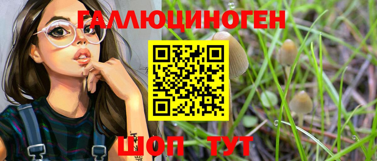 где продают   Галлюциногенные грибы Psilocybe  Вход с VPN  Чита 