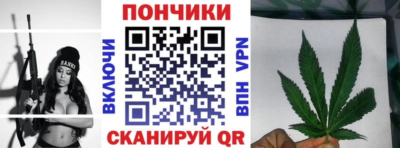 наркота  Чита  Канабис индика 